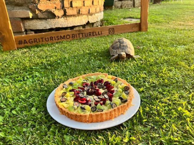 Agriturismo Bitturelli Ponti sul Mincio Luaran gambar
